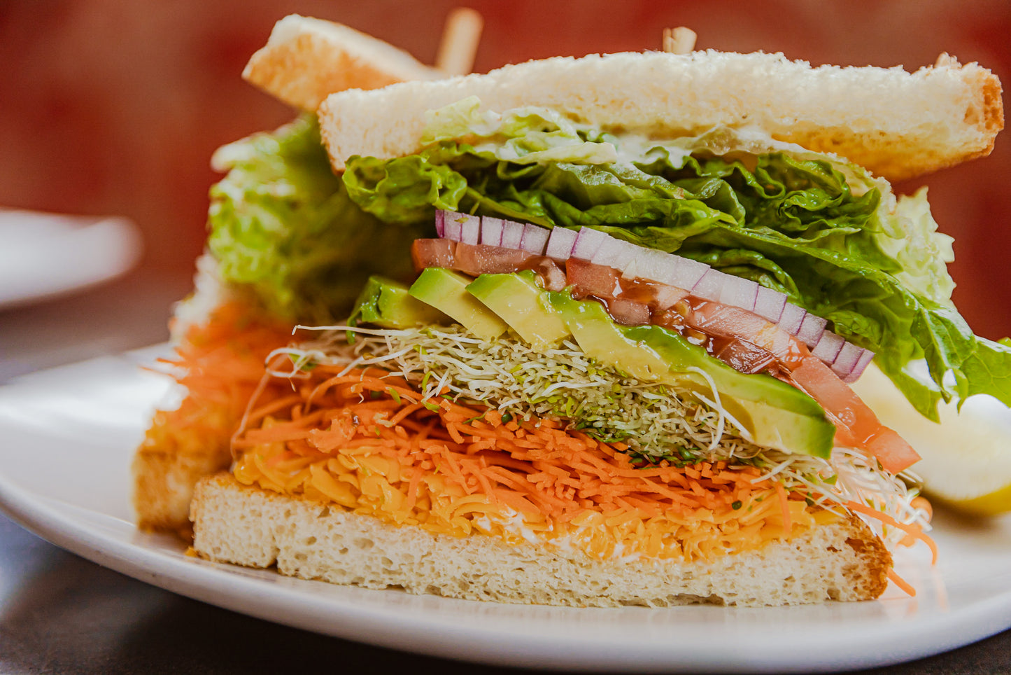 Garden Sandwich